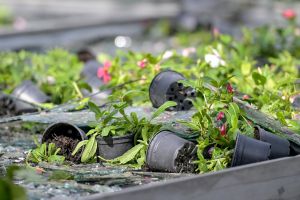 Objavljen Javni poziv za dodjelu potpora poljoprivrednicima za ublažavanje šteta od tuče